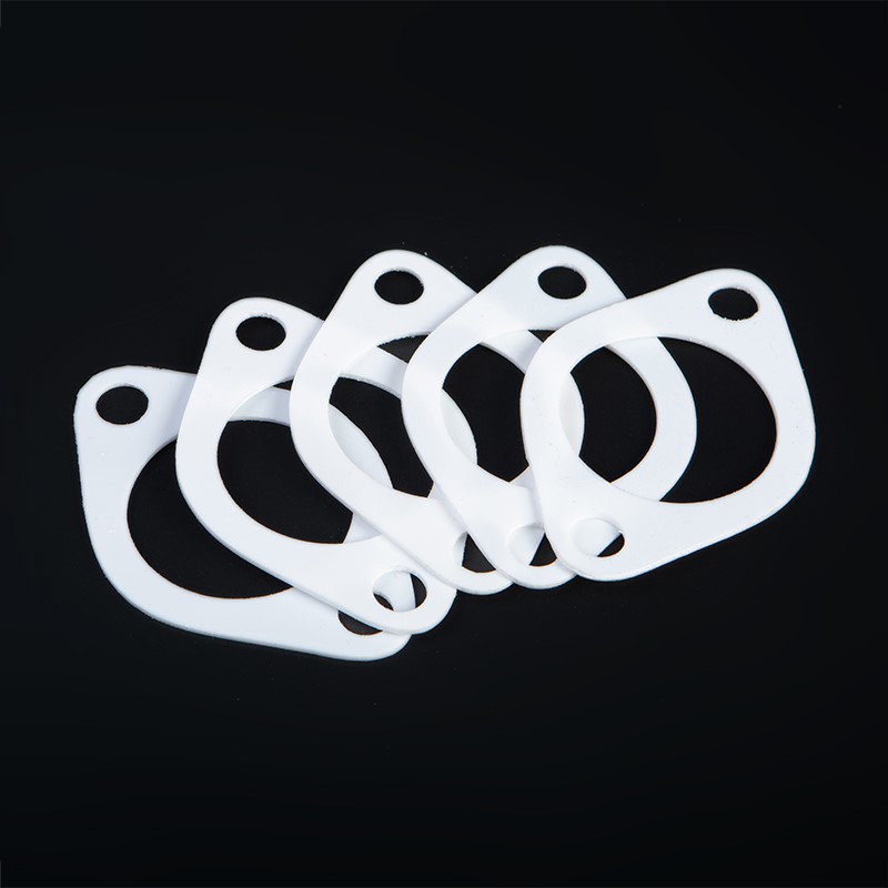 PTFE Gasket